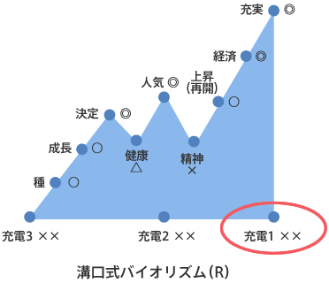 溝口式バイオリズム