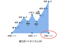 溝口式バイオリズム分析